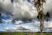 [WCBA]韩旭蝉联WCBA常规赛最有价值球员.