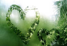 竞技宝官网：崛起！05后小将集体闪耀中超，伊万为何不再大胆一点？.