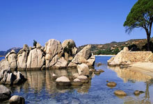 [德甲]保持不败 勒沃库森排名首位.